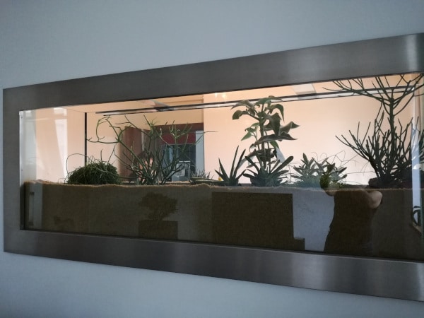 Ein altes Aquarium schön bepflanzen Flaechenlust Garten Blog