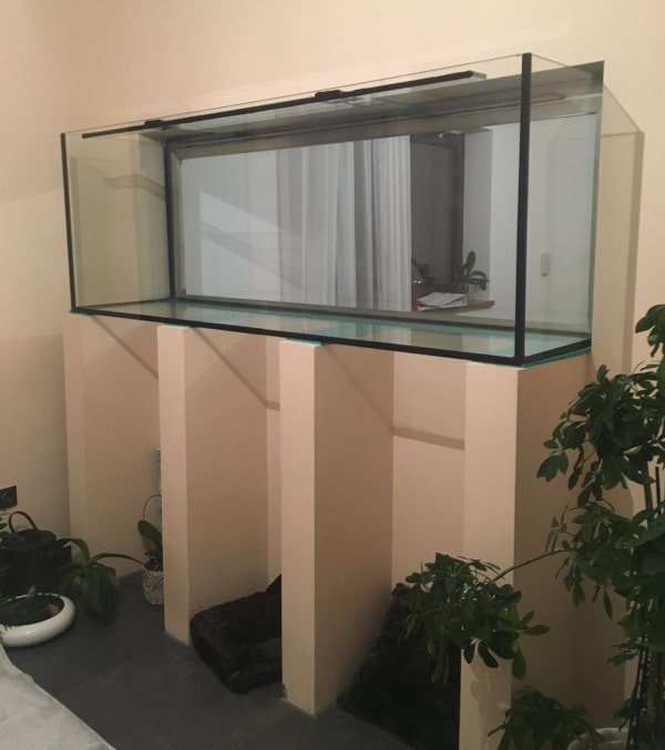 Ein altes Aquarium schön bepflanzen Flaechenlust Garten Blog