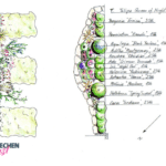 Pflanzplan Gartenplanung Wohnungsgarten