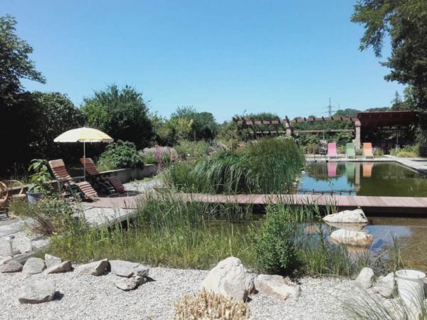 wassergarten schwimmteich gartengestaltung