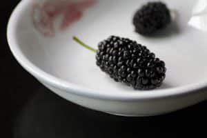 schwarze Maulbeere