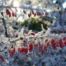 winter im garten