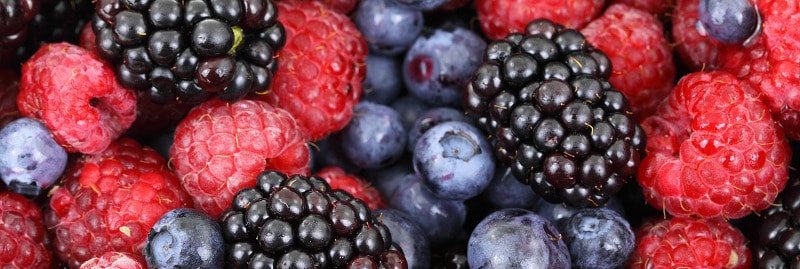 Beeren als anti-aging Vorsorge Flaechenlust Grünraumdesign