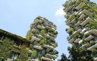green city gartenblog flaechenlust