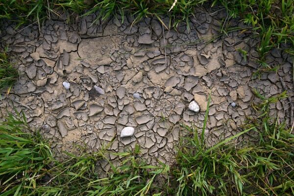 klimawandel trockenheit boden