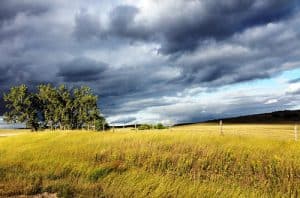 steppenlandschaft nordamerika