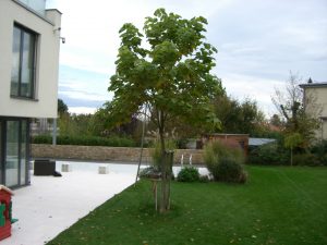 villengarten gartengestaltung beispiel