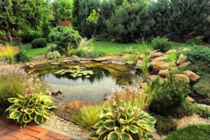 Biotop wassergarten Gartenteich