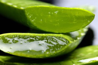 aloe vera gel naturkosmetik