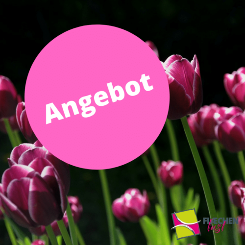 Angebote