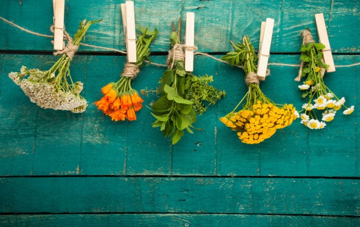 Flaechenlust Gartenblog | Hol dir Tipps zu modernem Gartendesign