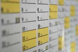 garten planen fragen und organisation