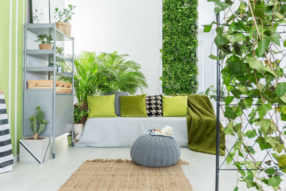 Moderner Indoor Garten für ein besseres Raumklima - Flaechenlust