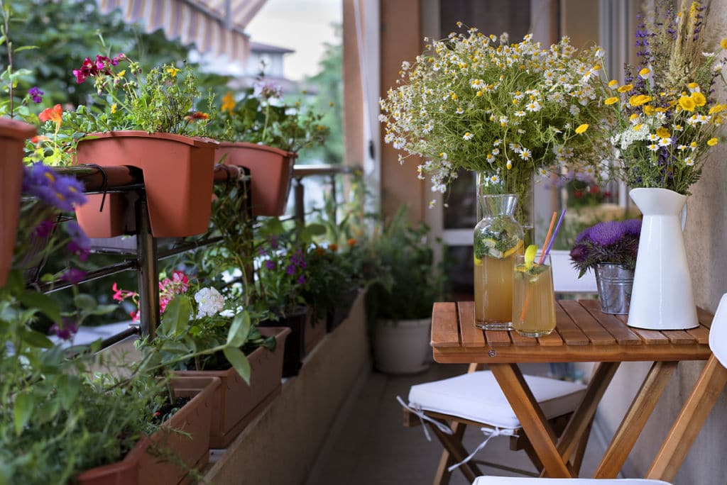 Urban Gardening Kräuter am Balkon Flaechenlust Gartenblog
