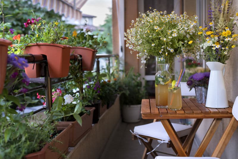 Urban Gardening Kräuter am Balkon Flaechenlust Gartenblog