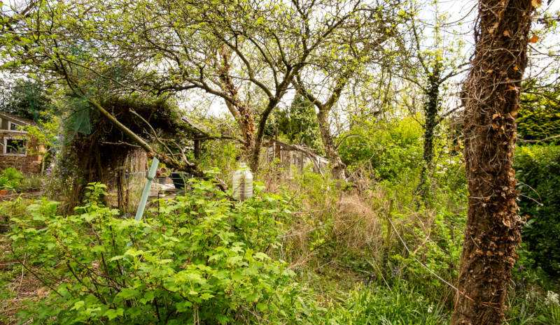 alten garten gartengestaltung flaechenlust gartenblog
