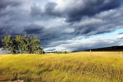 steppenlandschaft nordamerika flaechenlust gartenblog