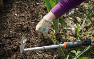 gartenarbeit im herbst