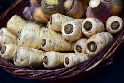 pastinake gartentrend urban gardening alte gemüsesorten