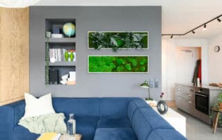 Moosbild Pflanzenbild Wandbild