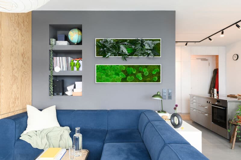 Moosbild Pflanzenbild Wandbild