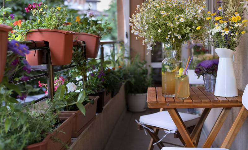 Urban gardening kräuter am balkon flaechenlust gartenblog