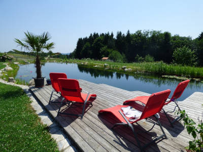 schwimmteich gartengestaltung holzdeck wassergarten flaechenlust gartenblog