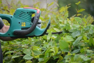 hecke schneiden herbstarbeiten gartentipps flaechenlust