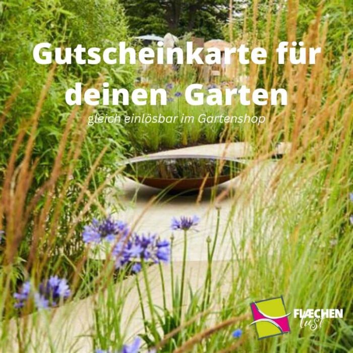 Gutschein-Karte Garten Dachterrasse