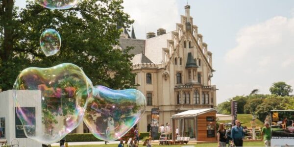 Ein altes Aquarium schön bepflanzen Flaechenlust Garten Blog