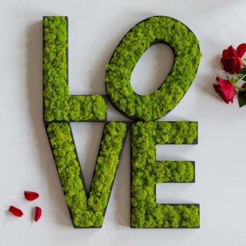 valentinstag love buchstaben moosbild gartenshop