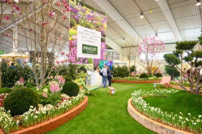 Gartenmesse-Tulln-Pool-and-Garden-2025-flaechenlust-gartenblog