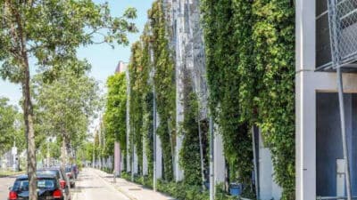 Fassadenbegrünung in Wien, Zentrale der MA48