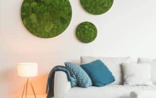 hochwertige Moosbilder & Pflanzenbilder für dein Zuhause