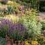 Hitze im Garten -Tipps für die Gartenplanung